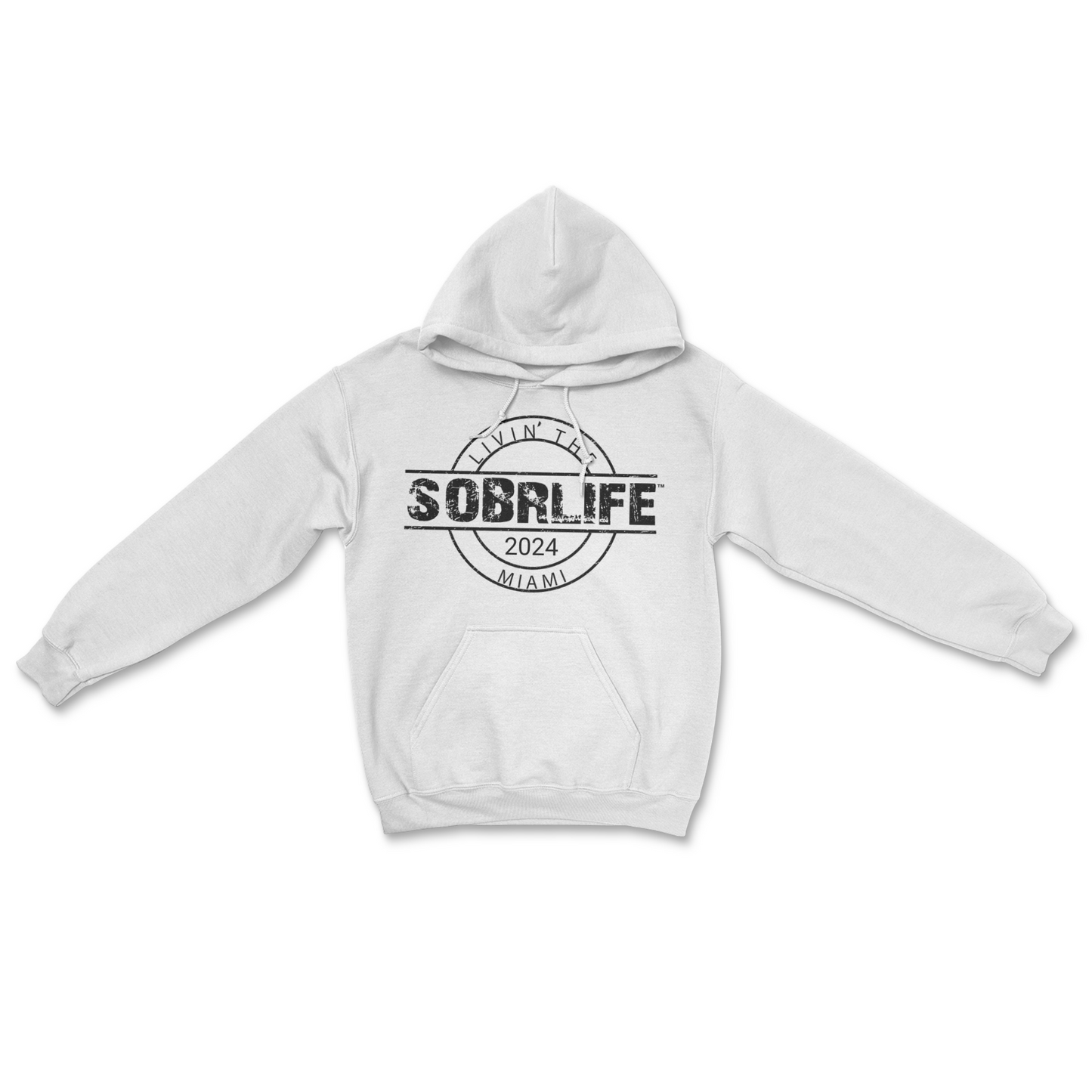 Unisex Sober Celebration Hooded Sweatshirt