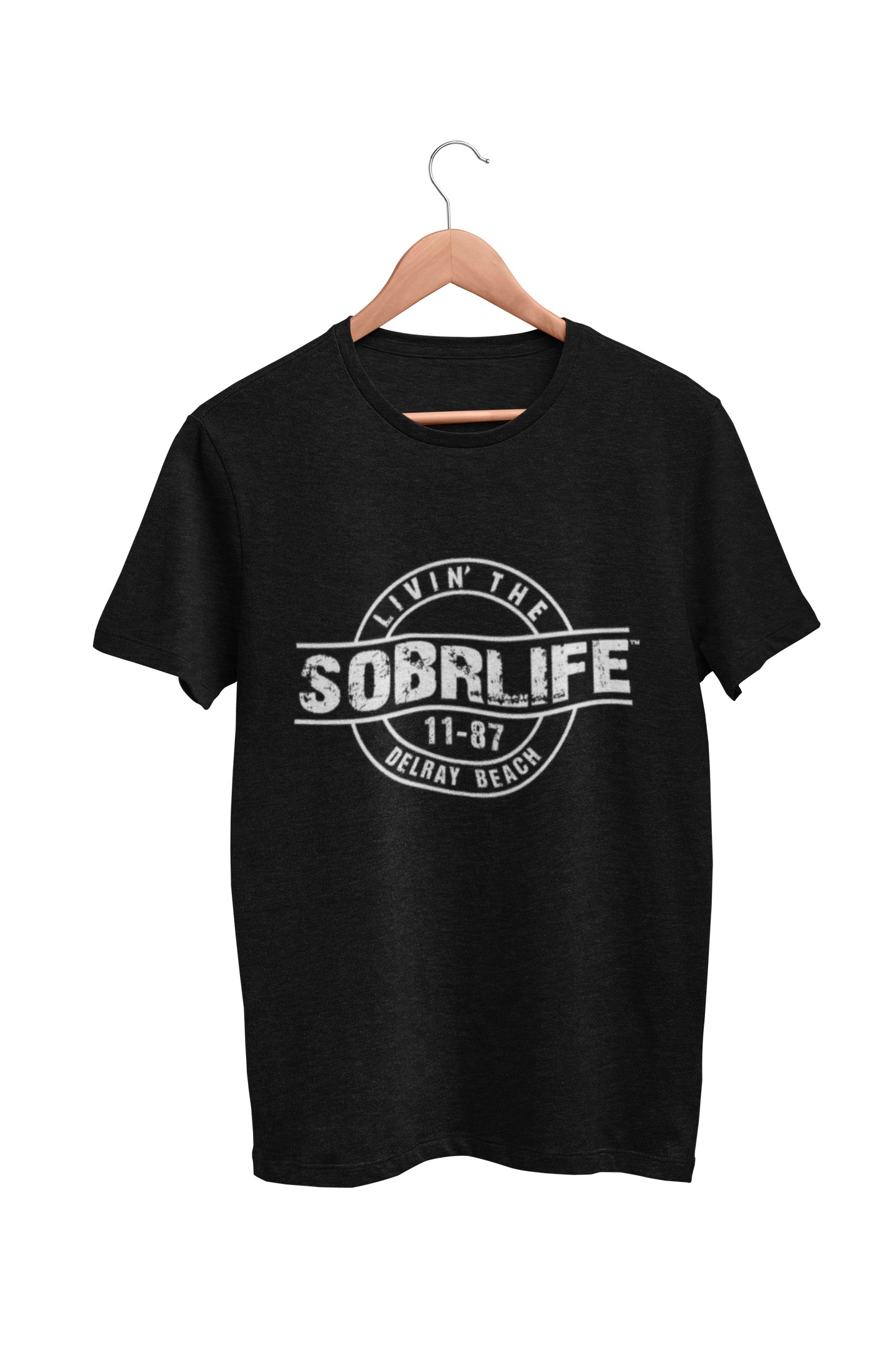 Unisex Sober Celebration T-Shirt